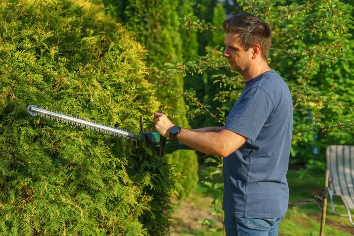 Tuinman snoeit een haag